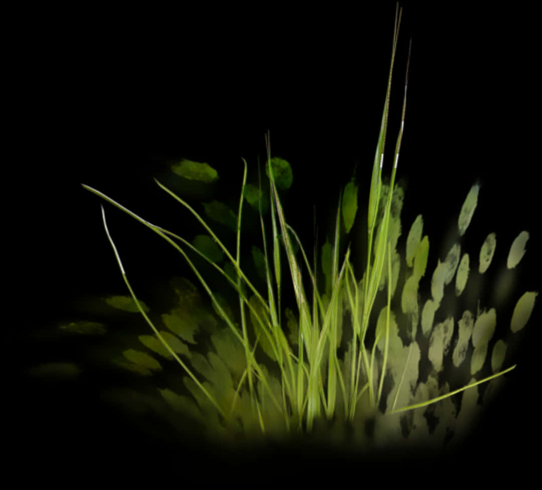 Glowing Grass Abstract