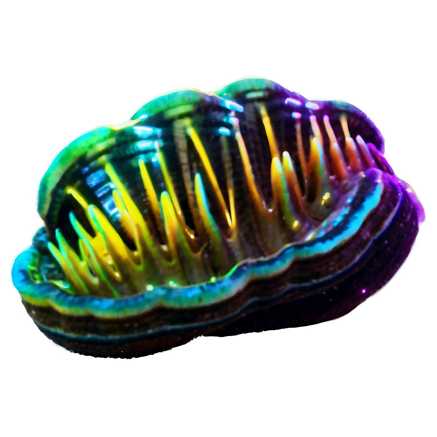 Glowing Neon Clam Png Xol