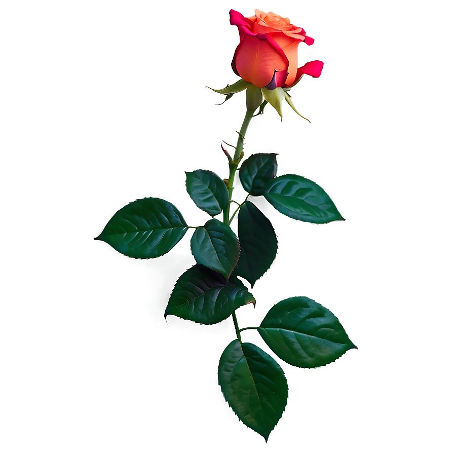 Glowing Rose Png 65