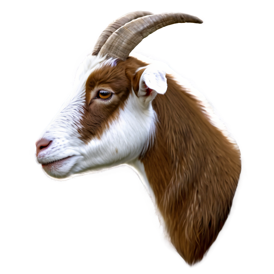Goat Head Png 12
