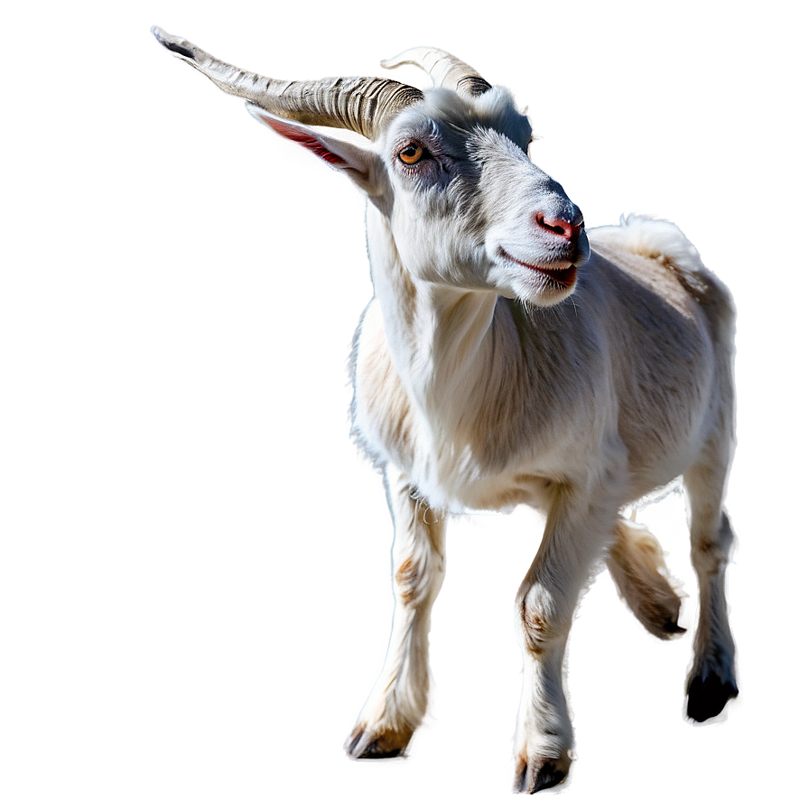 Goat On Mountain Png Ggq