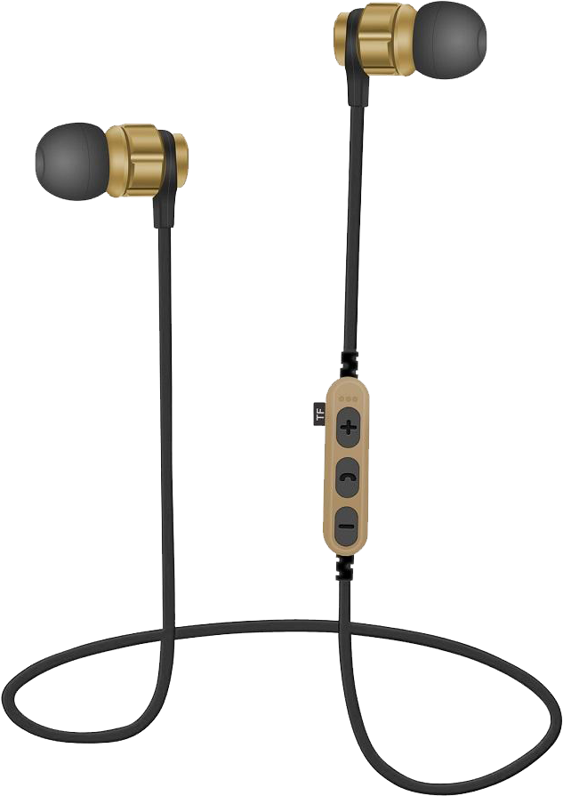 Gold Black Wired Earbudswith Inline Control