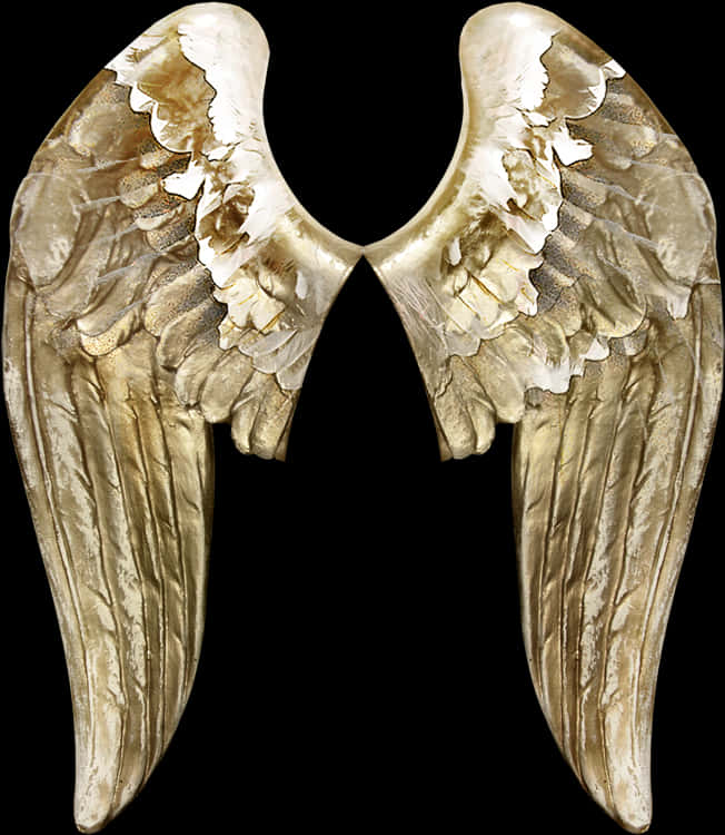 Golden_ Angel_ Wings_ Artwork