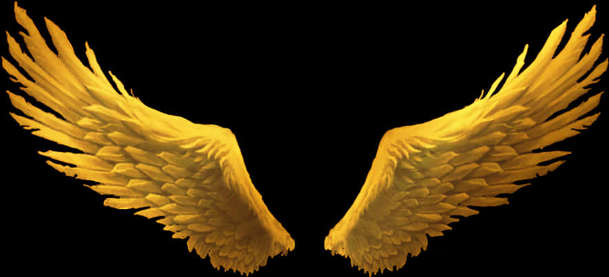 Golden_ Angel_ Wings_ Illustration