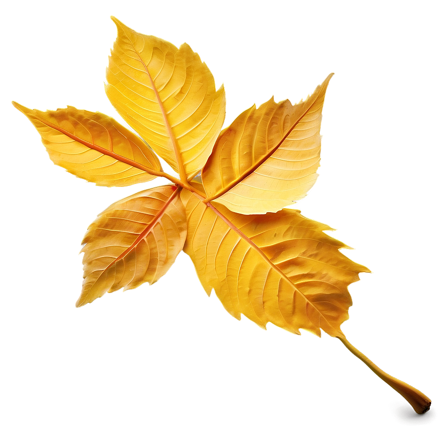 Golden Autumn Leaves Png Adb