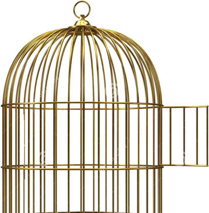 Golden Birdcage Empty