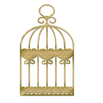 Golden Birdcage Graphic