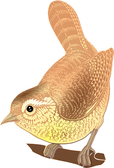 Golden Brown Illustrated Bird