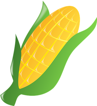 Golden Corn Ear Vector Illustration