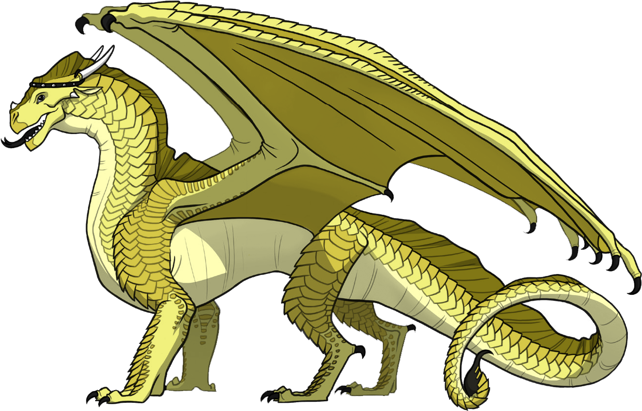 Golden Dragon Illustration