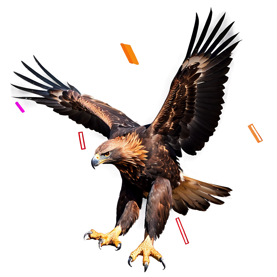 Golden Eagle In Dynamic Pose Png Ltw32