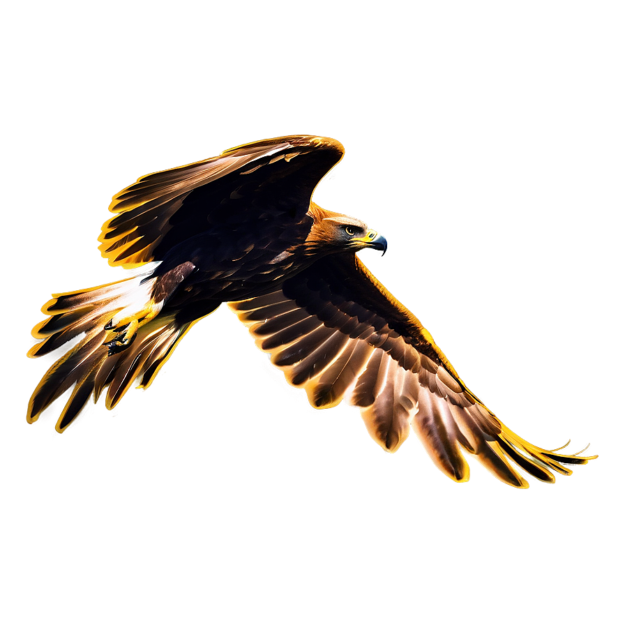 Golden Eagle Silhouette Png 06202024