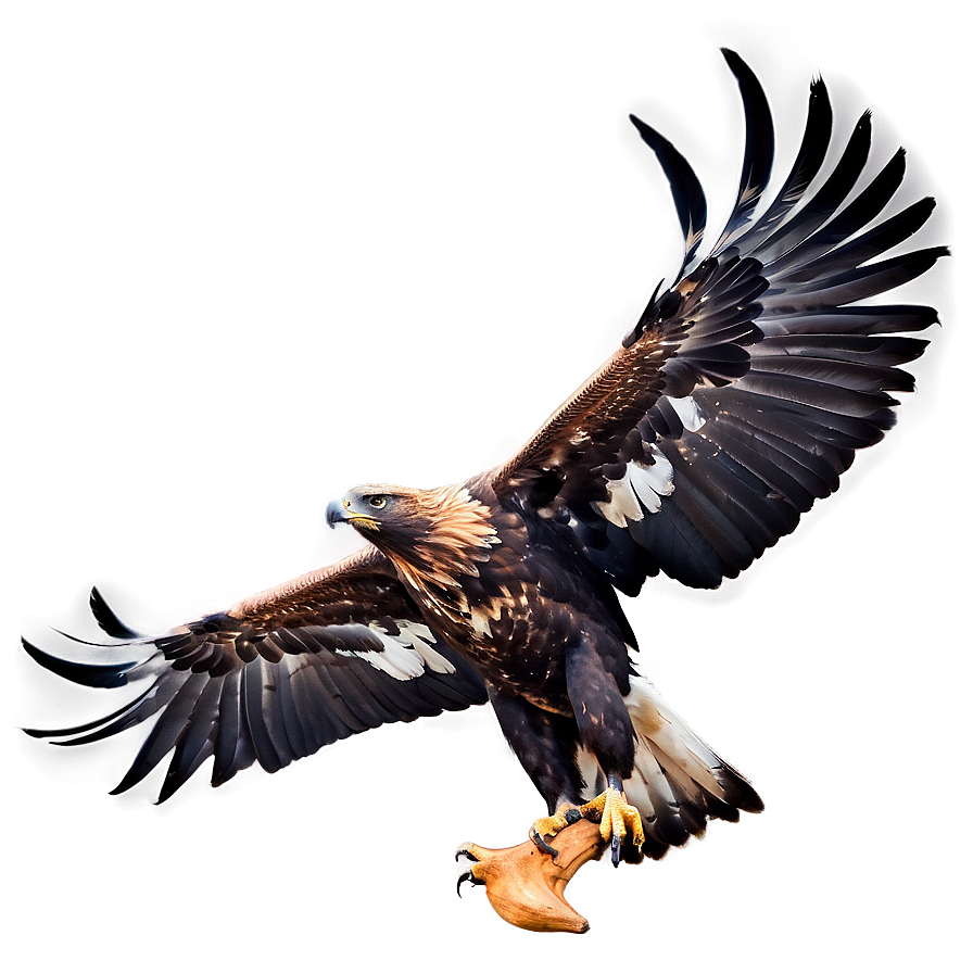 Golden Eagle Talons Outstretched Png 7