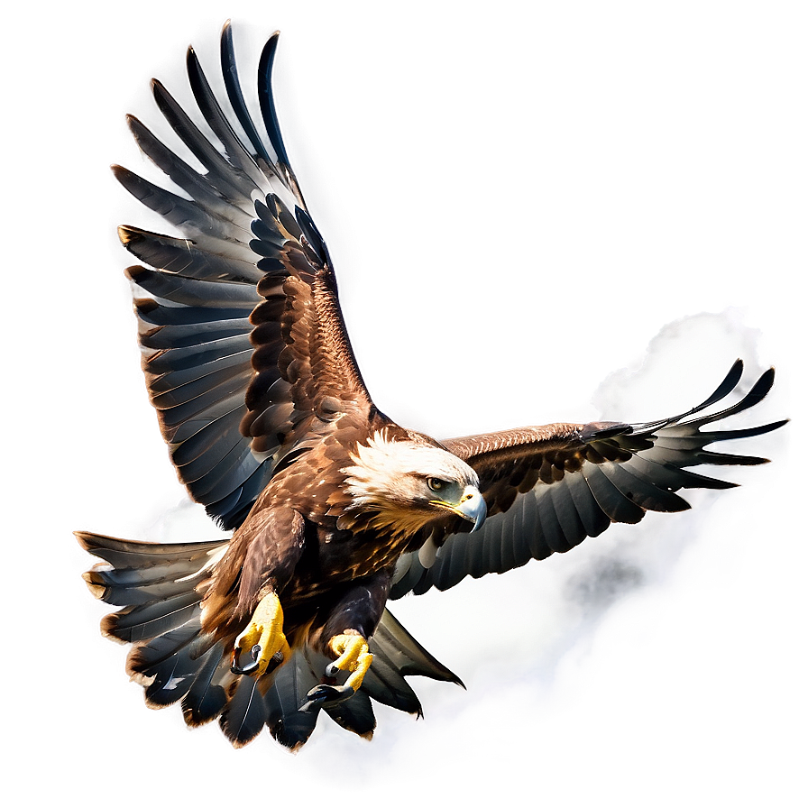 Golden Eagle With Dramatic Sky Png 44