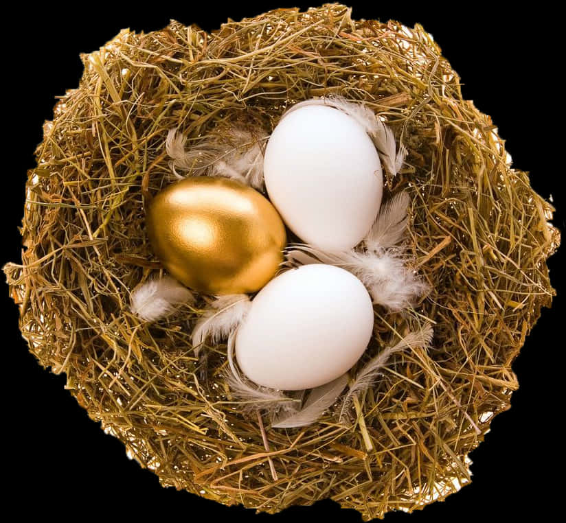 Golden Eggin Nest.jpg