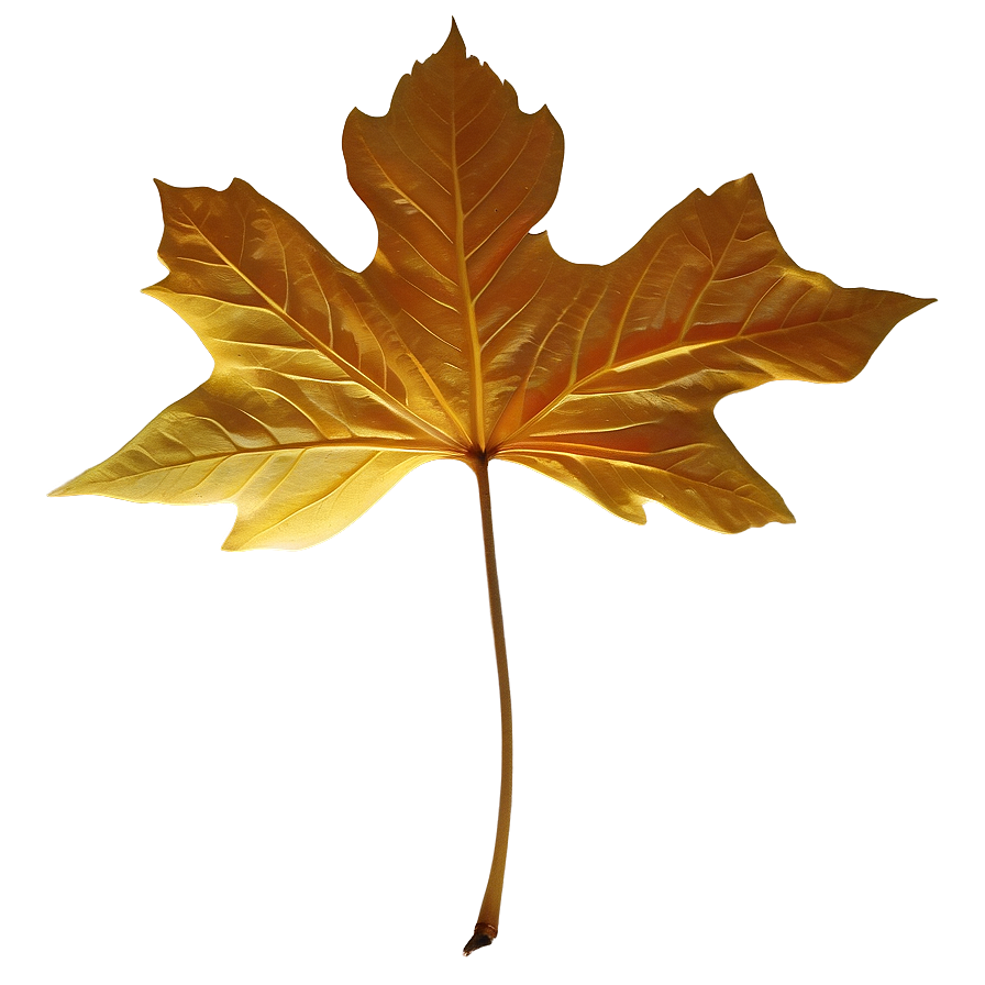 Golden Fall Leaf Png Urd69
