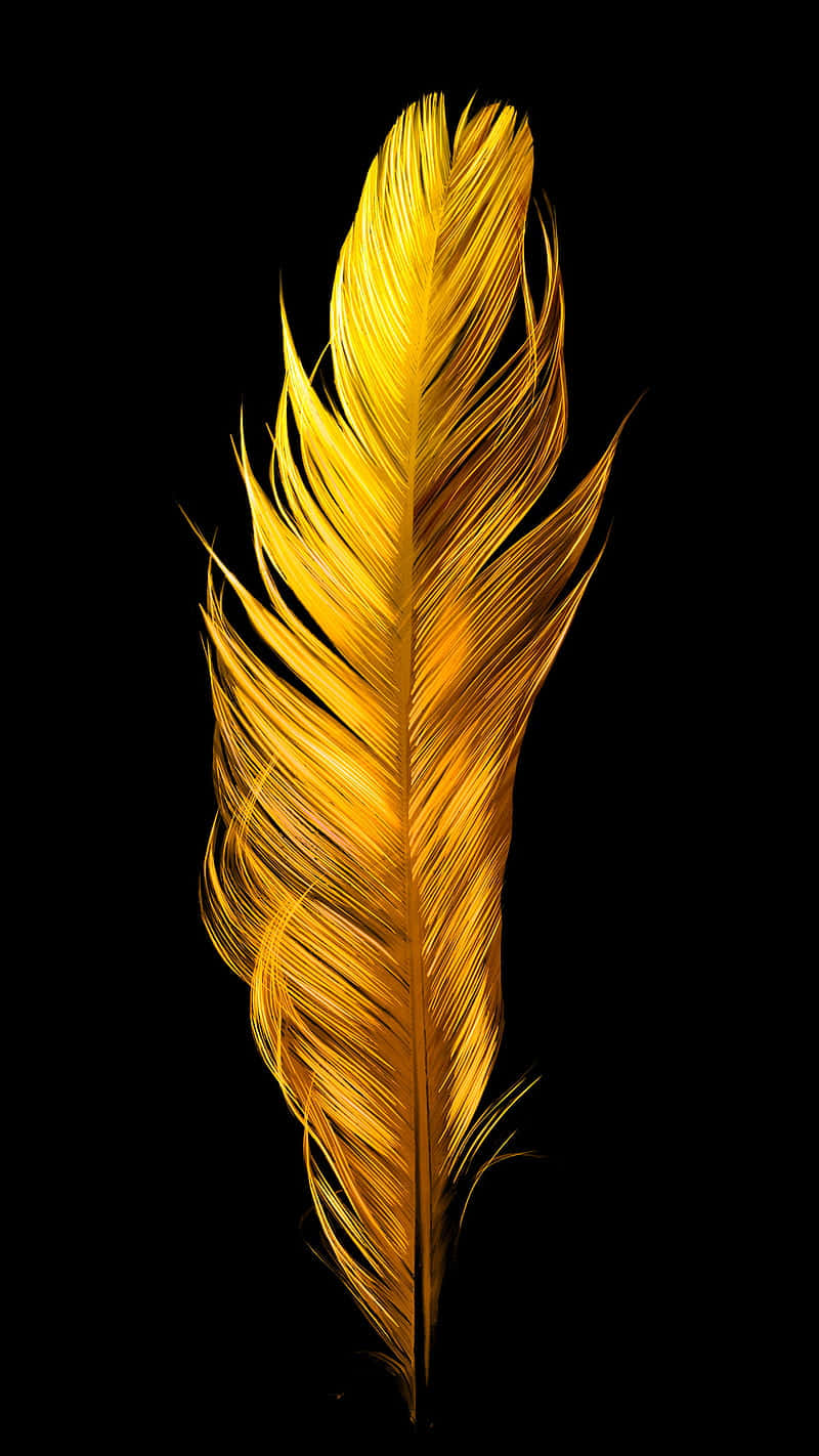 Golden Feather Black Background