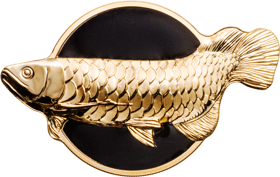 Golden Fishon Black Background