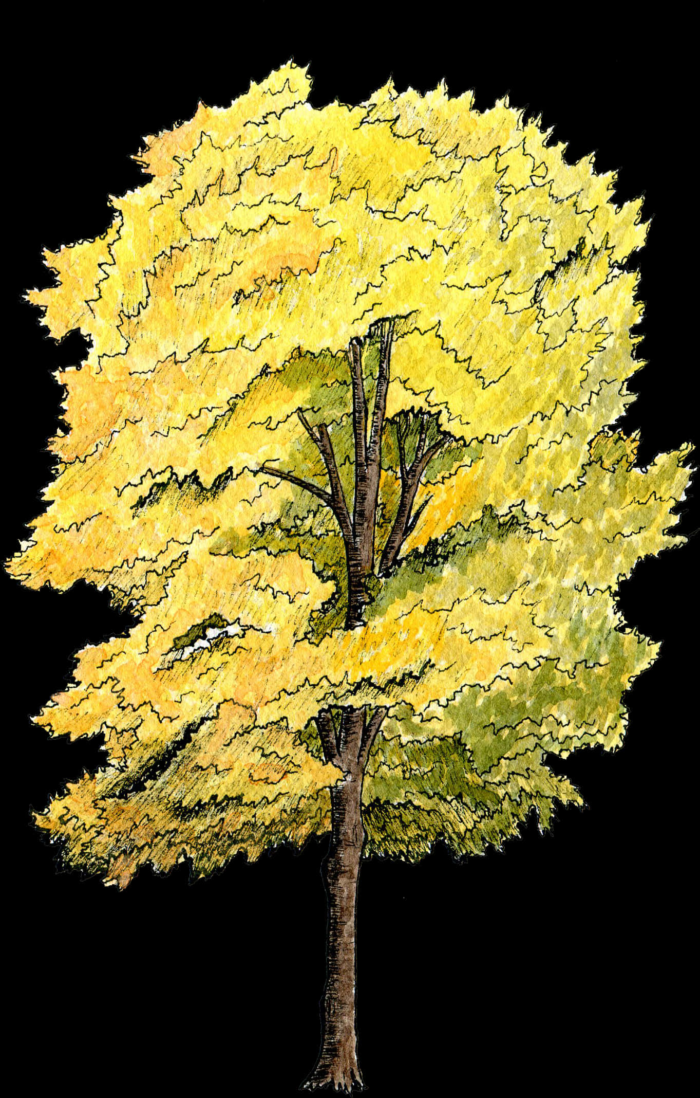 Golden Foliage Tree Illustration