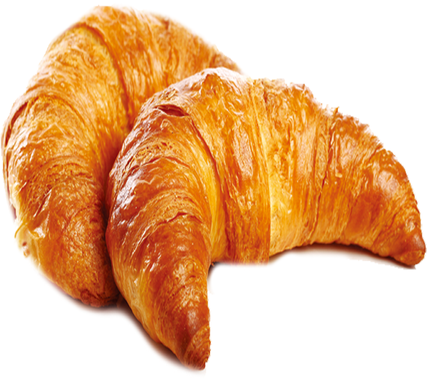 Golden Fresh Croissants