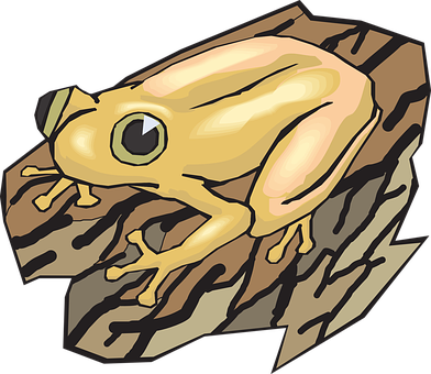 Golden Frog Illustration