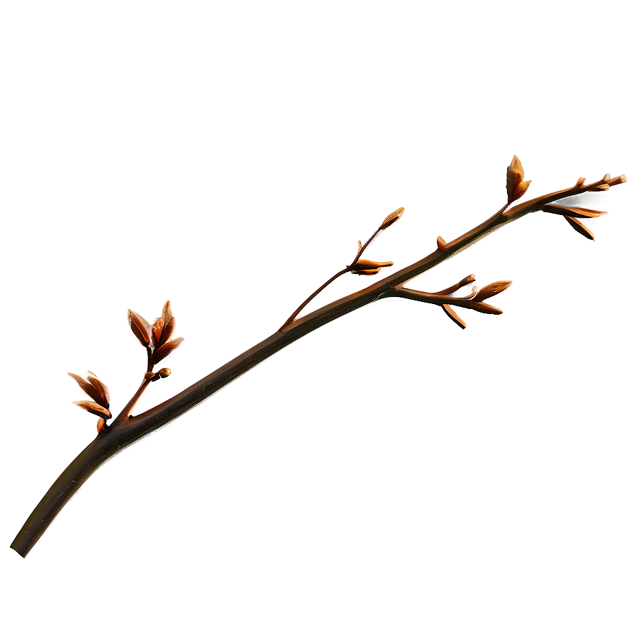 Golden Hour Twig Png 06132024