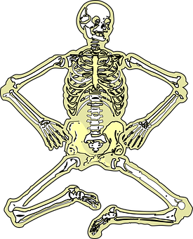 Golden Human Skeleton Illustration