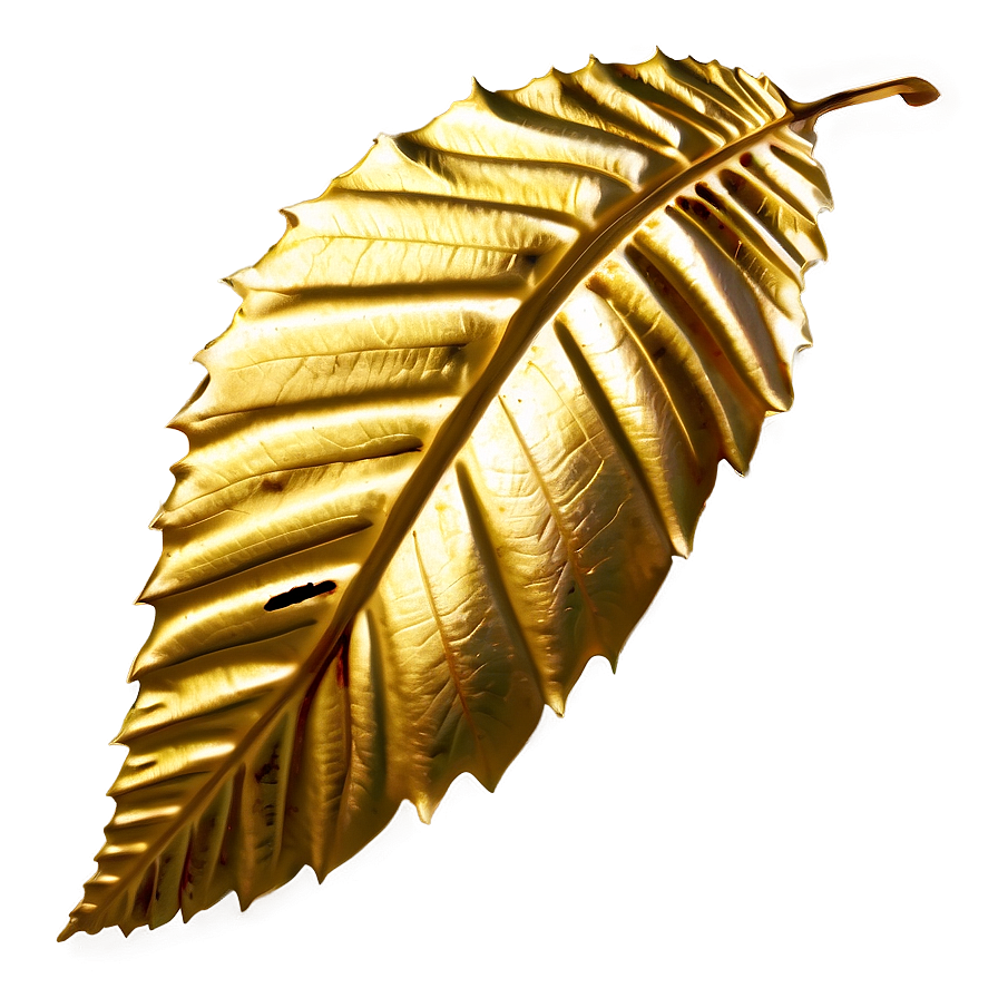 Golden Leaf Png 18