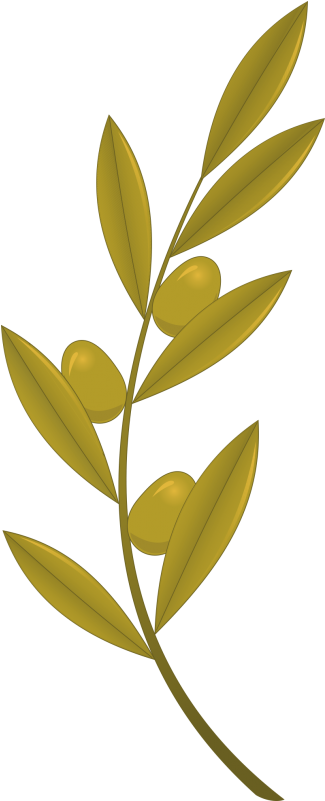 Golden Olive Branch Illustration