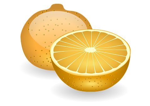 Golden Orange Illustration