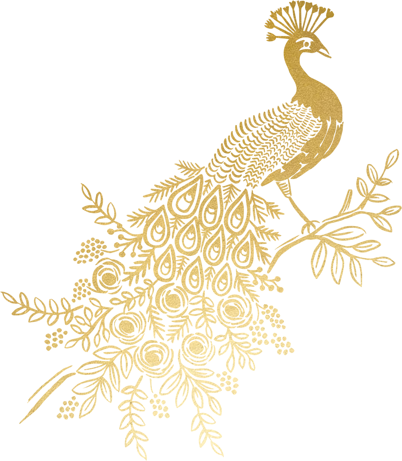 Golden Peacock Feather Artwork