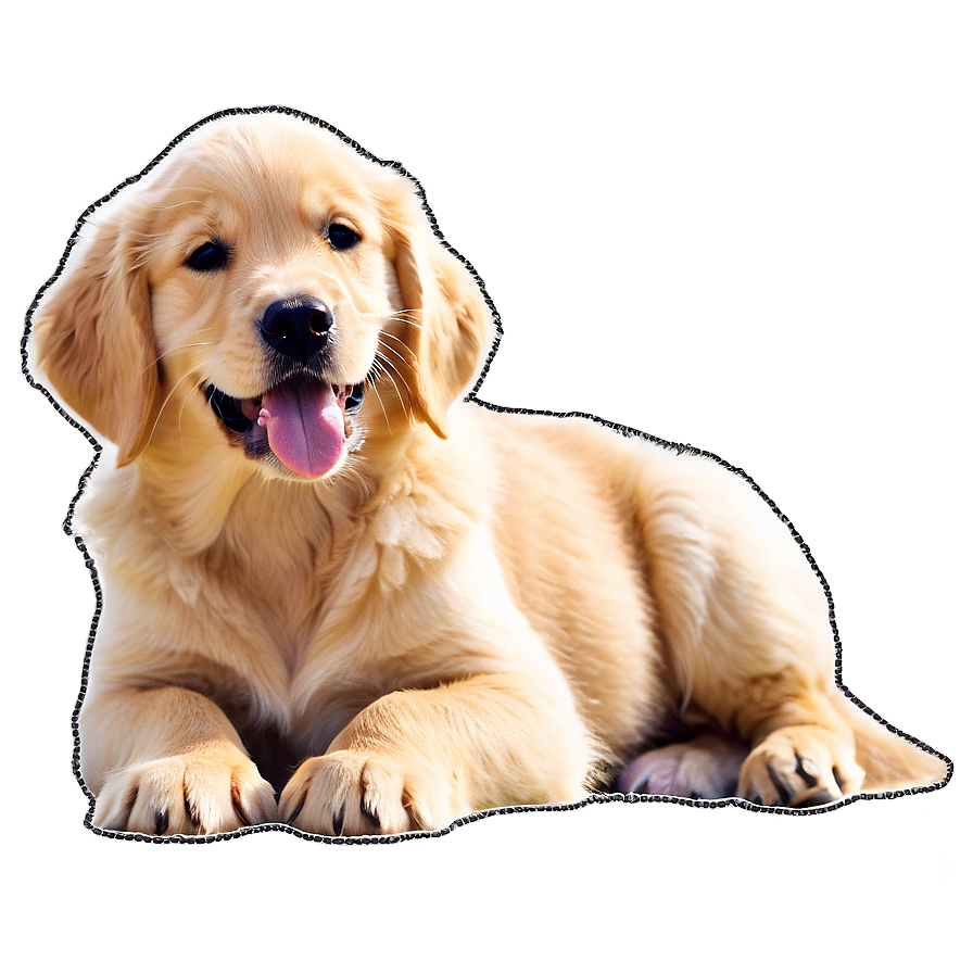 Golden Retriever Puppy On Beach Png 67