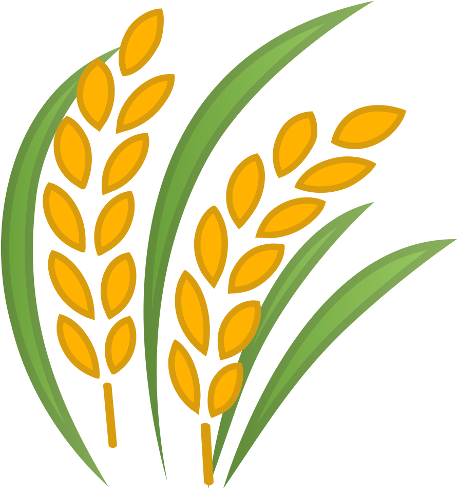 Golden Rice Stalks Illustration