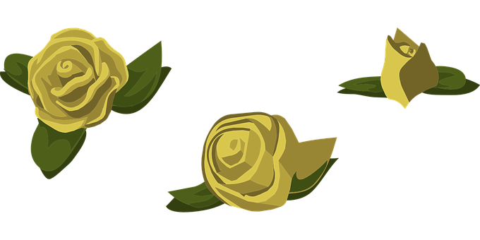 Golden_ Roses_ Vector_ Illustration