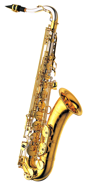 Golden Saxophone Profile