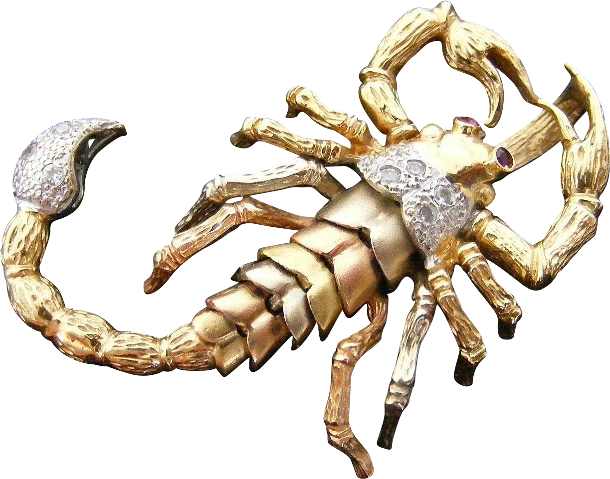 Golden Scorpion Brooch Jewelry
