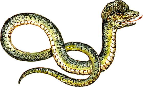 Golden Serpent Illustration