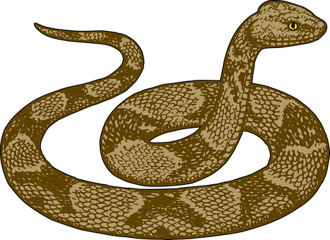 Golden_ Serpent_ Illustration