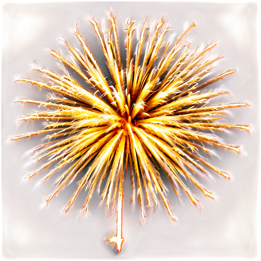 Golden Sparkle Fireworks Png 06292024