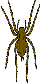 Golden Spider Silhouette