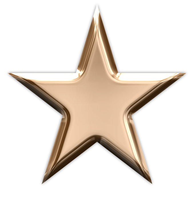 Golden Star Icon