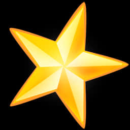 Golden Star Icon