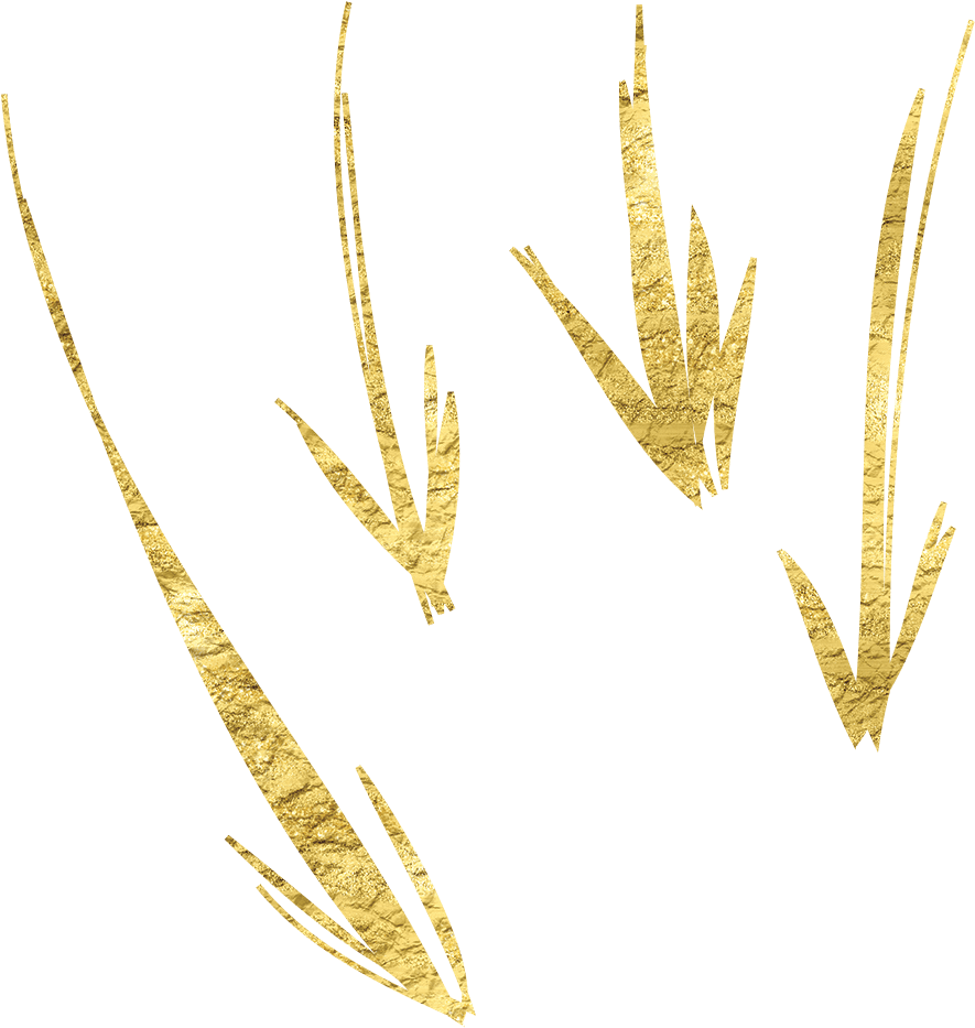 Golden Texture Hand Drawn Arrows