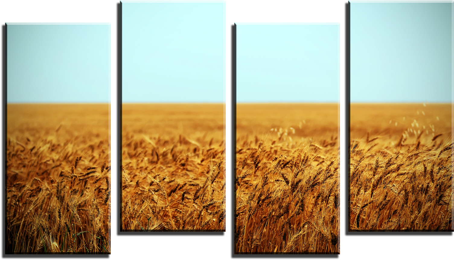 Golden Wheat Field Four Panel Display