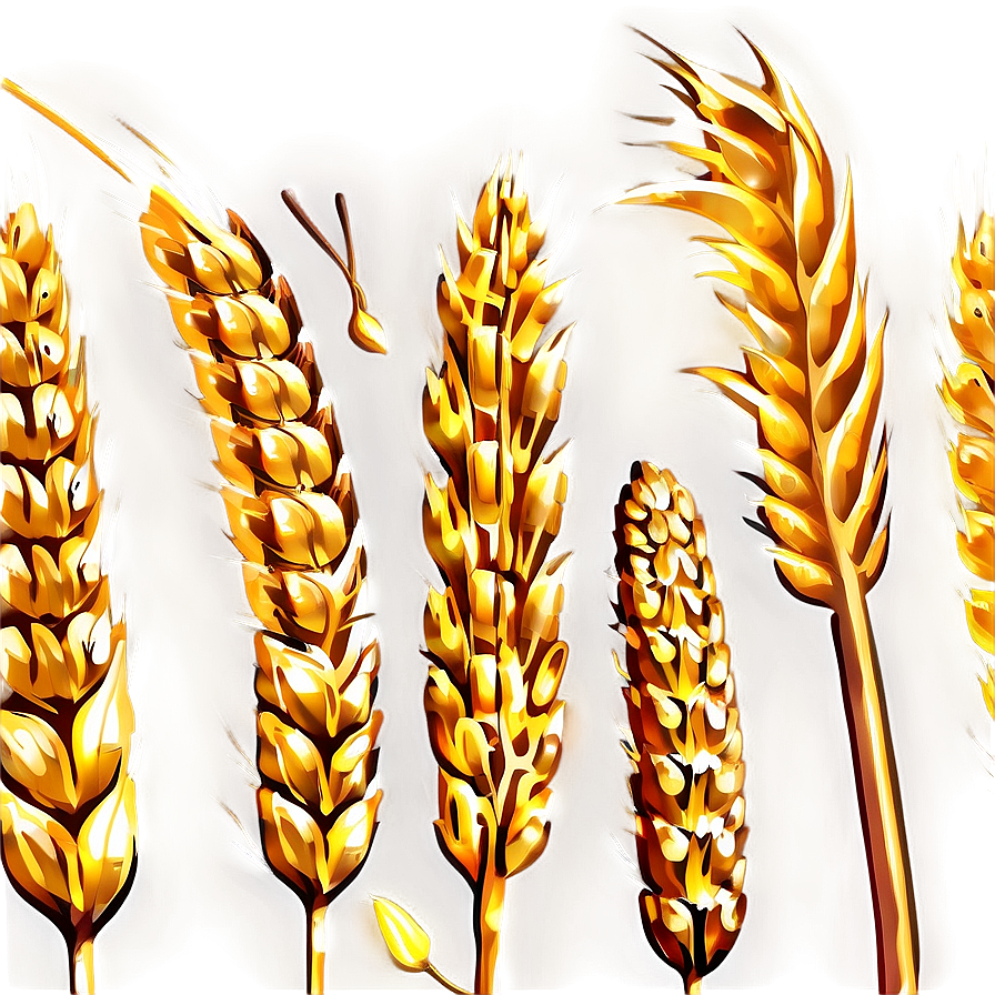 Golden Wheat Field Png 84