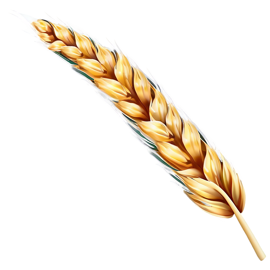 Golden Wheat Field Png Ptj