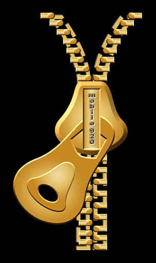 Golden Zipper Illustration