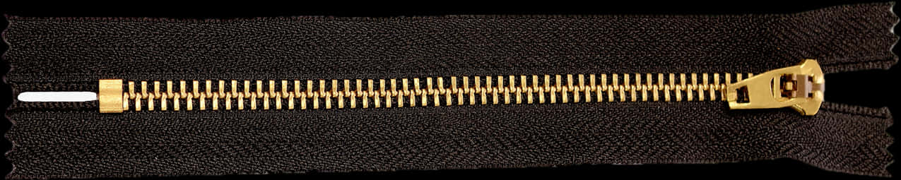 Golden Zipperon Black Fabric