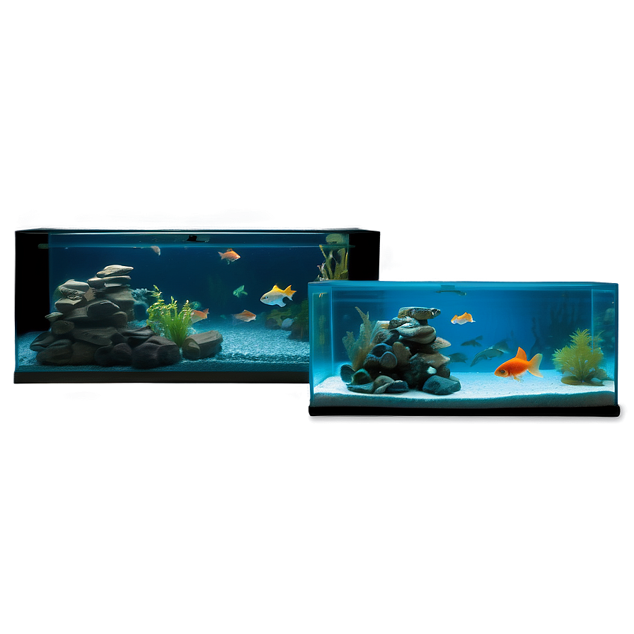 Goldfish Tank Png 88