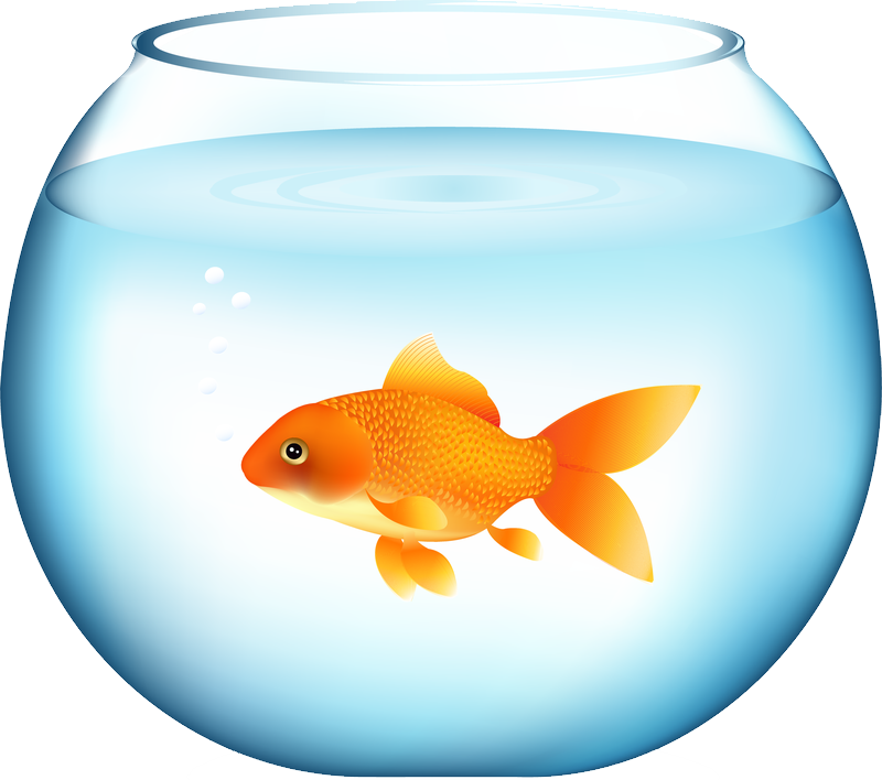 Goldfishin Bowl Illustration